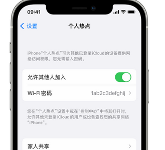 正定apple服务站点分享iPhone上个人热点丢失了怎么办