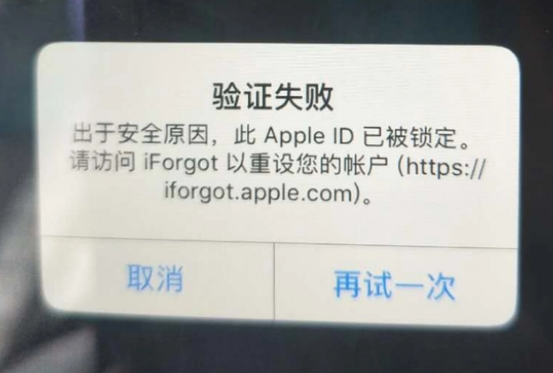 正定iPhone维修分享iPhone上正常登录或使用AppleID怎么办 