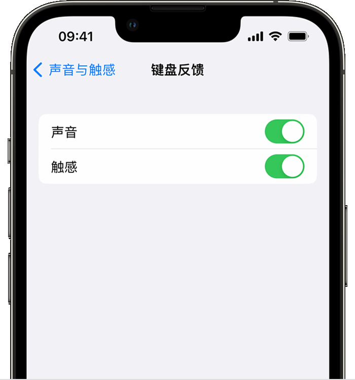 正定苹果14维修店分享如何在 iPhone 14 机型中使用触感键盘 