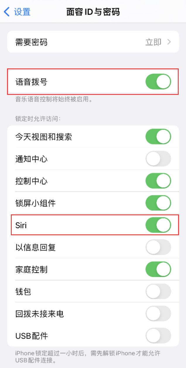 正定苹果维修网点分享不解锁 iPhone 的情况下通过 Siri 拨打电话的方法 