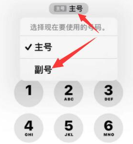 正定苹果14维修店分享iPhone 14 Pro Max使用副卡打电话的方法 