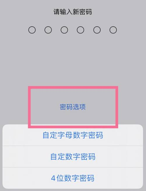 正定苹果14维修分享iPhone 14plus设置密码的方法 