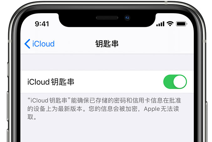 正定苹果手机维修分享在 iPhone 上开启 iCloud 钥匙串之后会储存哪些信息 