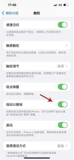 正定苹果手机维修分享iPhone手机如何设置摇一摇删除文字 