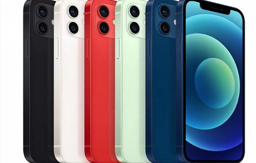 正定苹果维修点分享iPhone12 Pro Max进水维修 